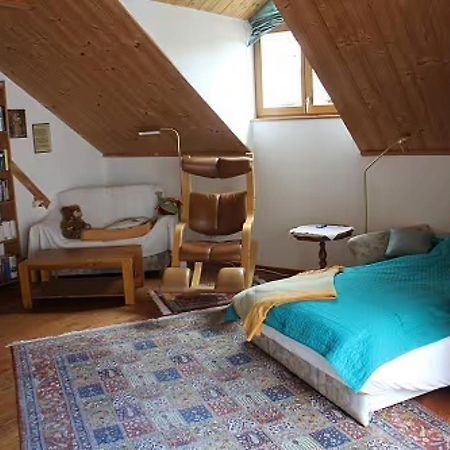 Ferienwohnung Abelein Пассау Экстерьер фото